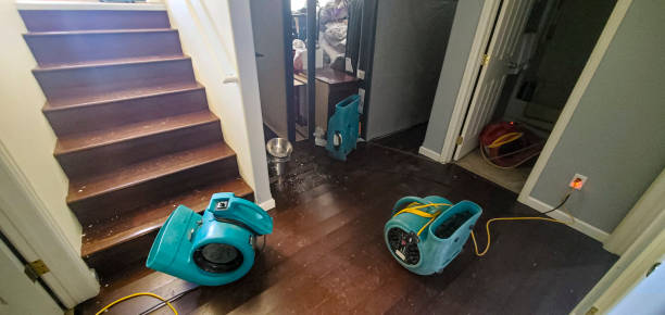 Best Flooded house restoration  in Southern Shores, NC
