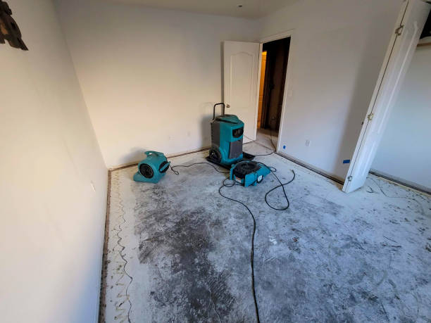 Best 24/7 water damage repair  in Southern Shores, NC