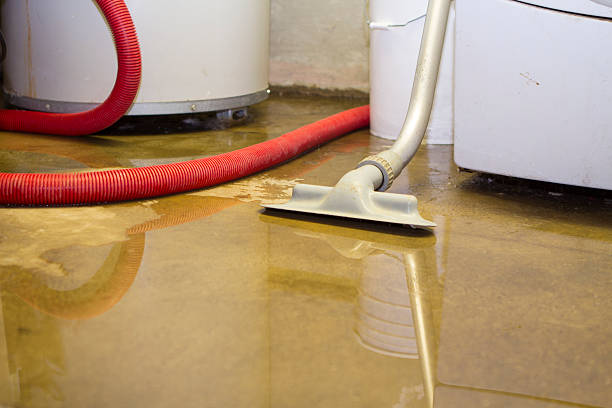 Best Emergency water damage restoration  in Southern Shores, NC
