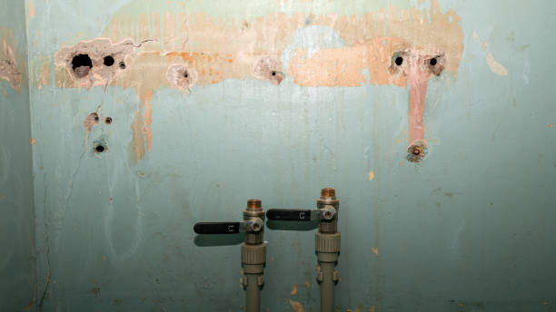  Southern Shores, NC Water damage restoration Pros