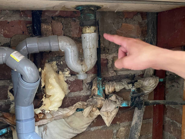 Best Professional water damage repair  in Southern Shores, NC